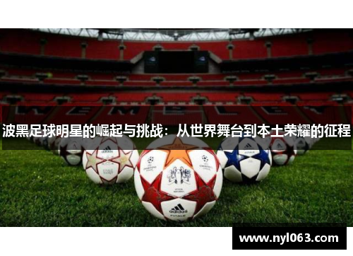 波黑足球明星的崛起与挑战：从世界舞台到本土荣耀的征程