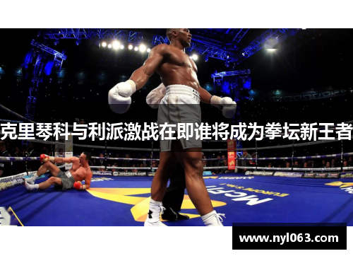 克里琴科与利派激战在即谁将成为拳坛新王者